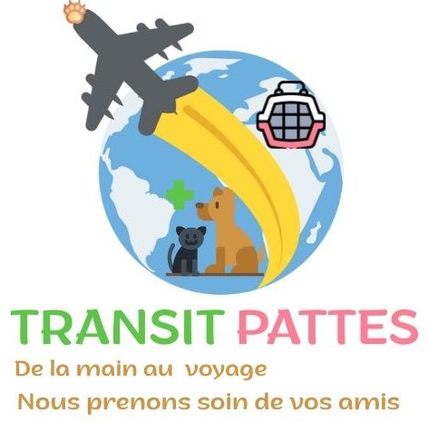 Transit Pattes